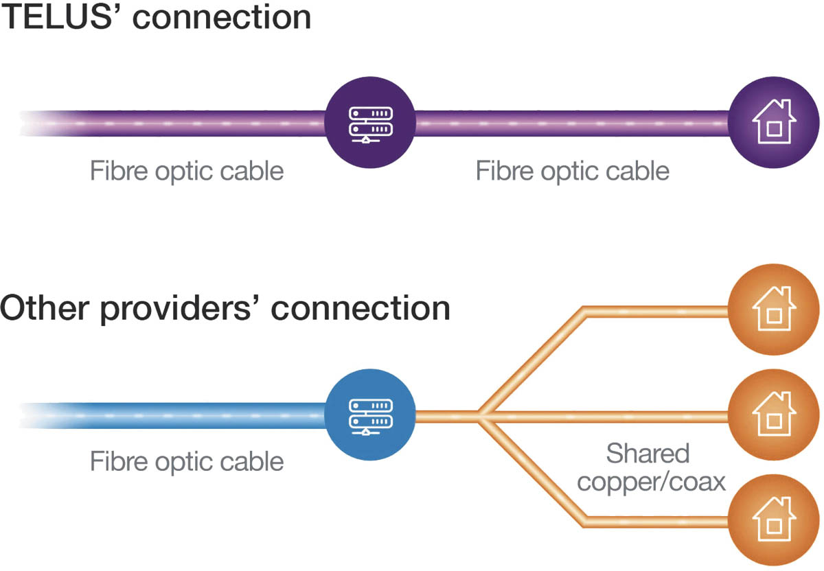 TELUS Connection Graph