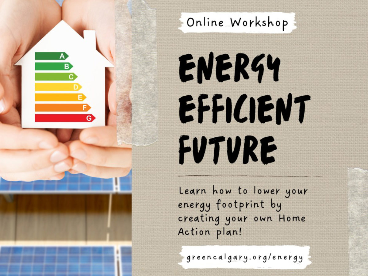 Energy Efficient Future Workshop