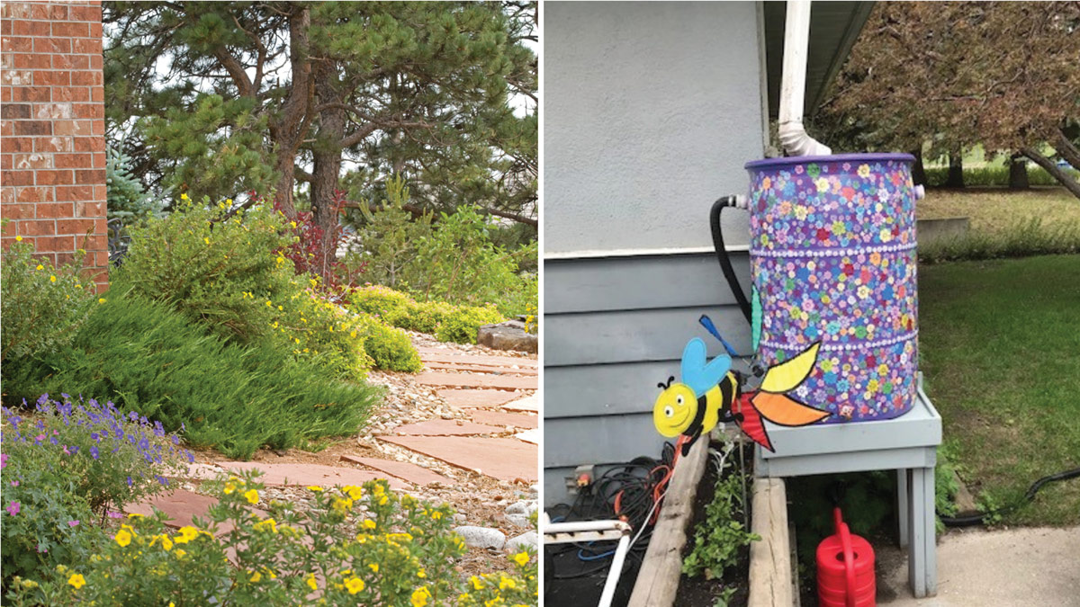Xeriscaping with sun-loving plants; A rain barrel can help reduce water usage.