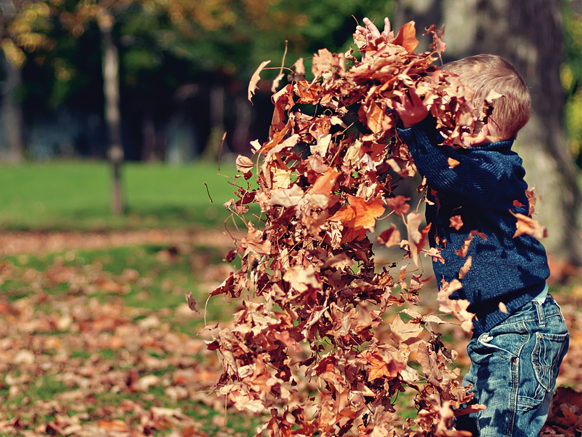 A child playing in leaves.